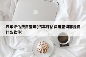 汽车评估费用查询(汽车评估费用查询都是用什么软件)